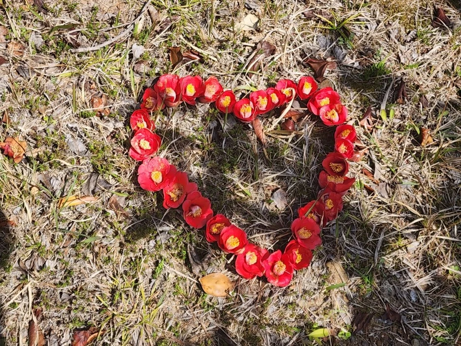 KakaoTalk_20230331_034558069_20.jpg?type=w1