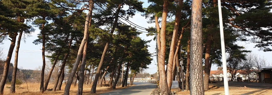 SE-cb7d4bf3-6cb3-4633-b917-2e270bb0ca9b.jpg?type=w1