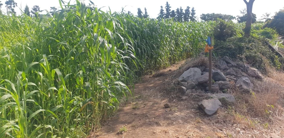 KakaoTalk_20220831_114810655_03.jpg?type=w1