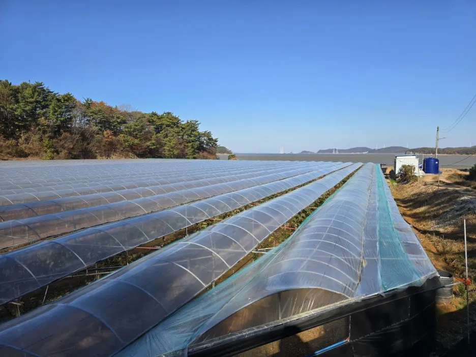 KakaoTalk_20241122_202414998_21.jpg?type=w1