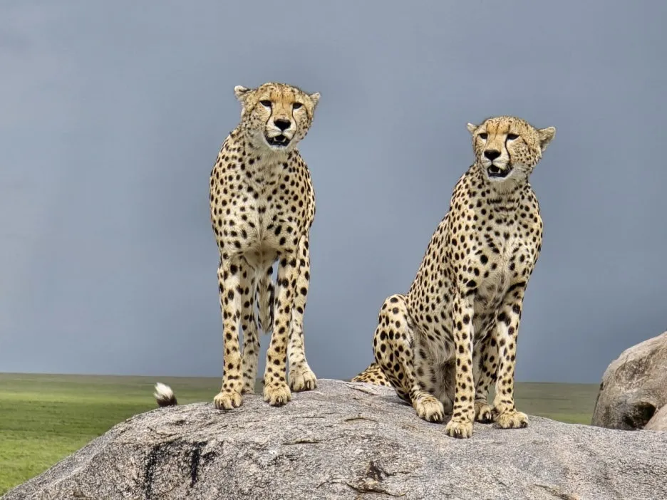 KakaoTalk_20250405_134443007_15.jpg?type=w1