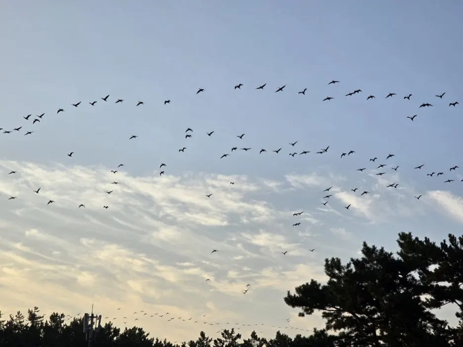 KakaoTalk_20241102_064540914_04.jpg?type=w1