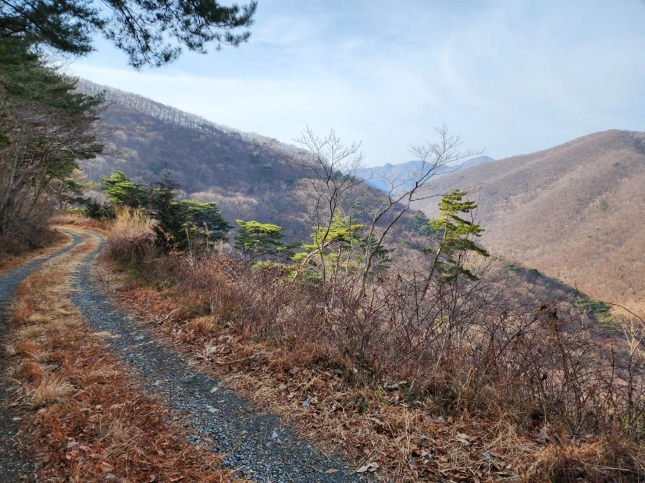 KakaoTalk_20230214_043856244_04.jpg?type=w1