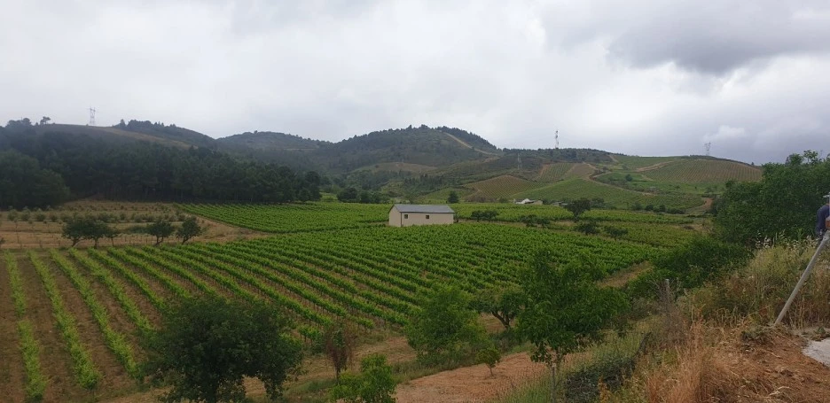 KakaoTalk_20220608_234408568_01.jpg?type=w1