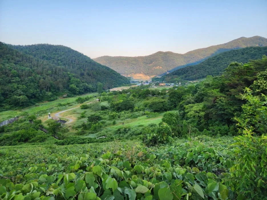 KakaoTalk_20240603_201229636_02.jpg?type=w1