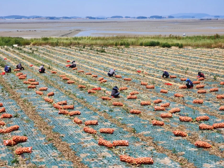 KakaoTalk_20240528_210234361_22.jpg?type=w1