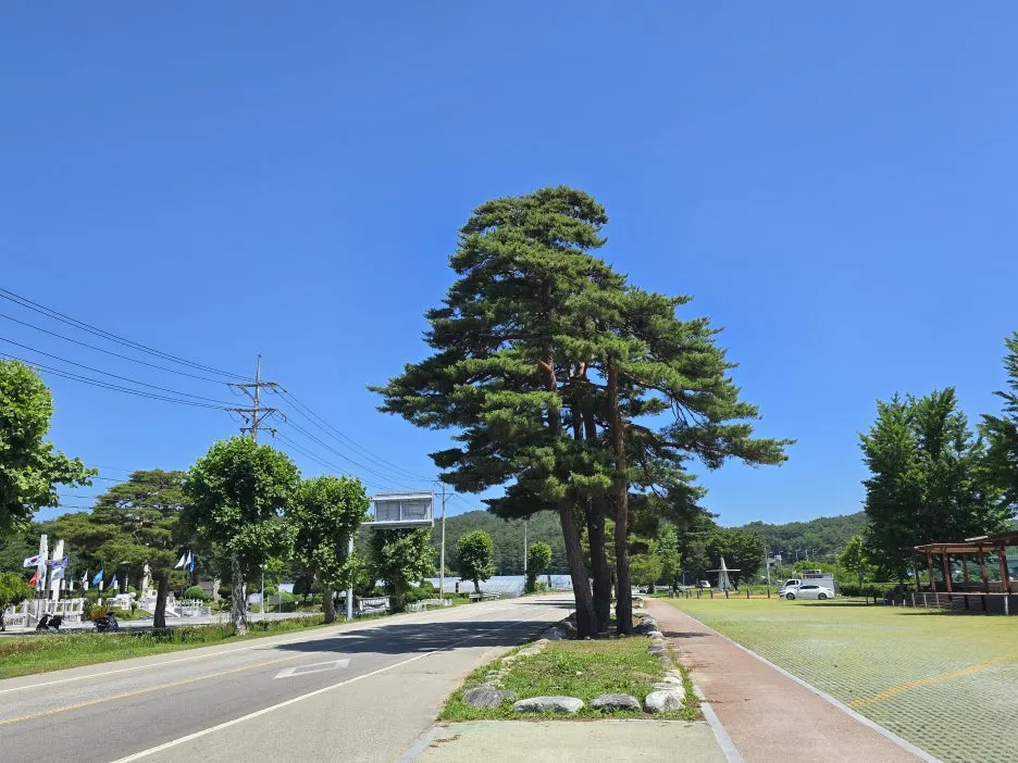 KakaoTalk_20250623_164743987_26.jpg?type=w1