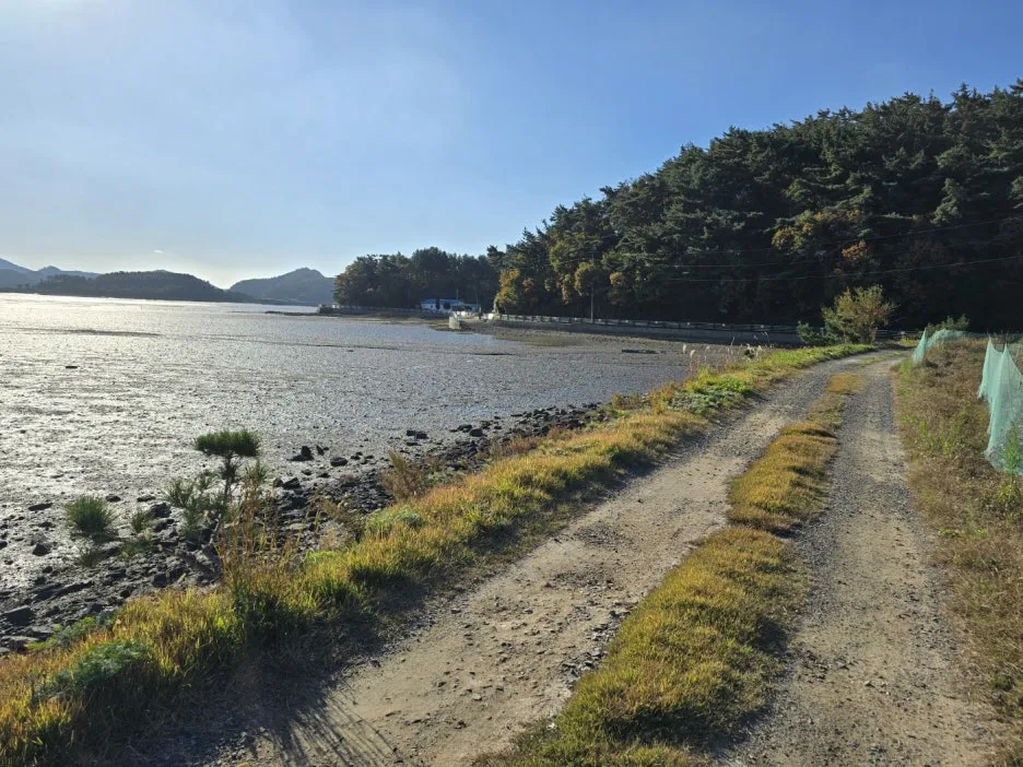 KakaoTalk_20241107_045832646_10.jpg?type=w1