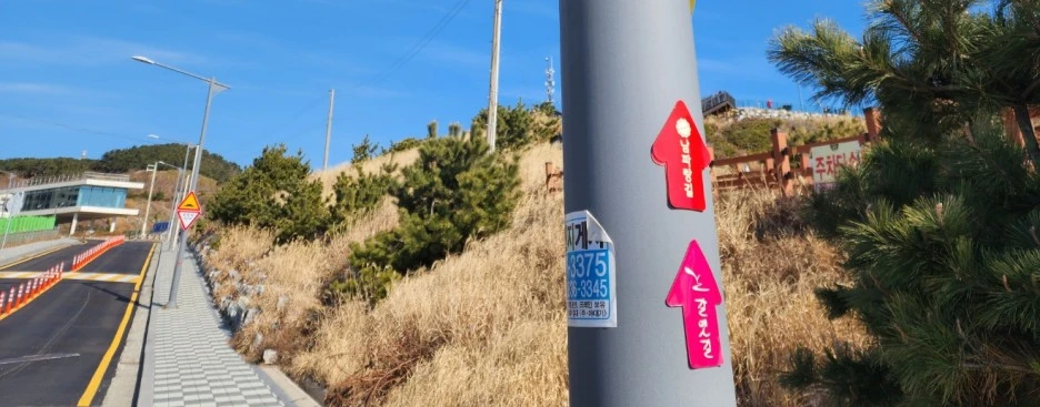 SE-020aadbd-94b1-48a1-8a03-5288147c31bf.jpg?type=w1