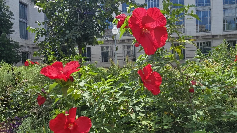 KakaoTalk_20250809_060145593_22.jpg?type=w1