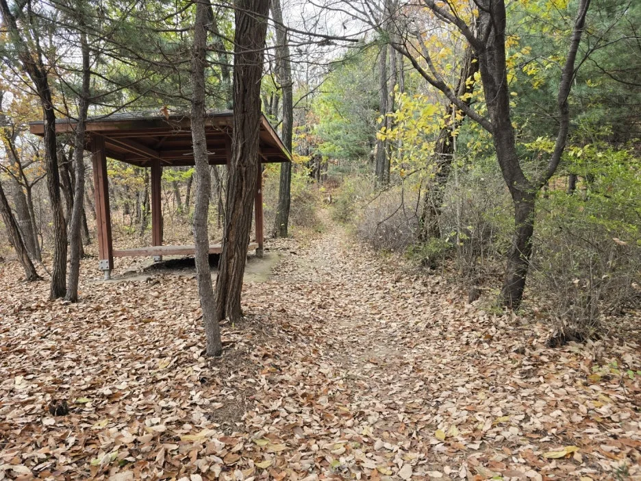 KakaoTalk_20241128_094326100_16.jpg?type=w1