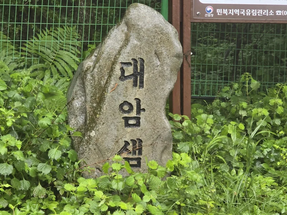 KakaoTalk_20250622_033302012_12.jpg?type=w1