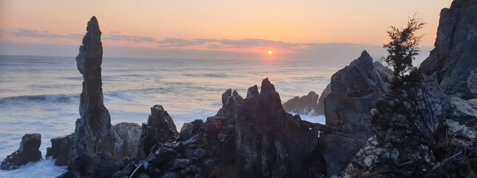 SE-b511566c-6eb2-4a37-9788-d82fffb63a74.jpg?type=w1