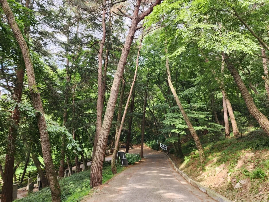 KakaoTalk_20240607_201223809_16.jpg?type=w1