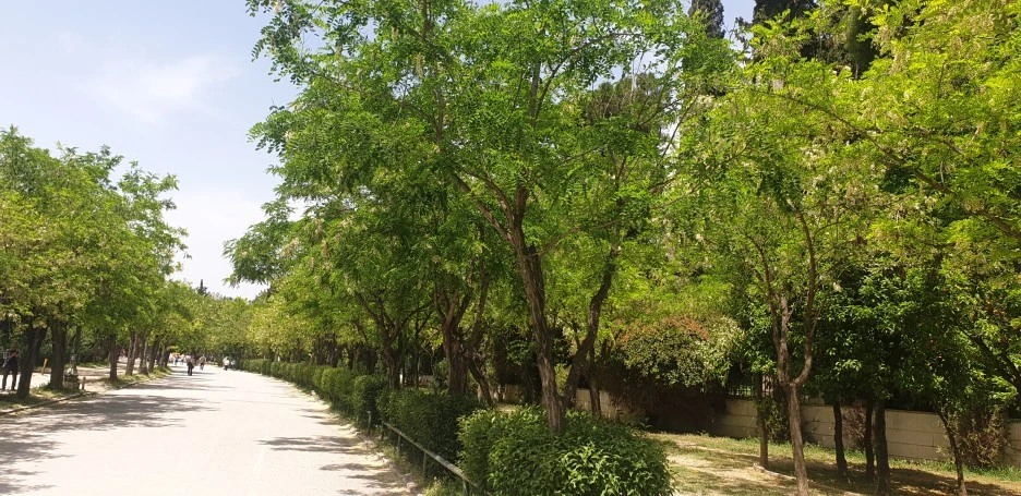 20220501_131918.jpg?type=w1