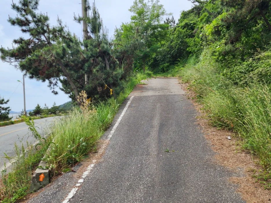 KakaoTalk_20240527_172250853_27.jpg?type=w1