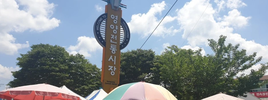 SE-1d40ee62-f0d1-4fc1-910d-45c902f919ae.jpg?type=w1