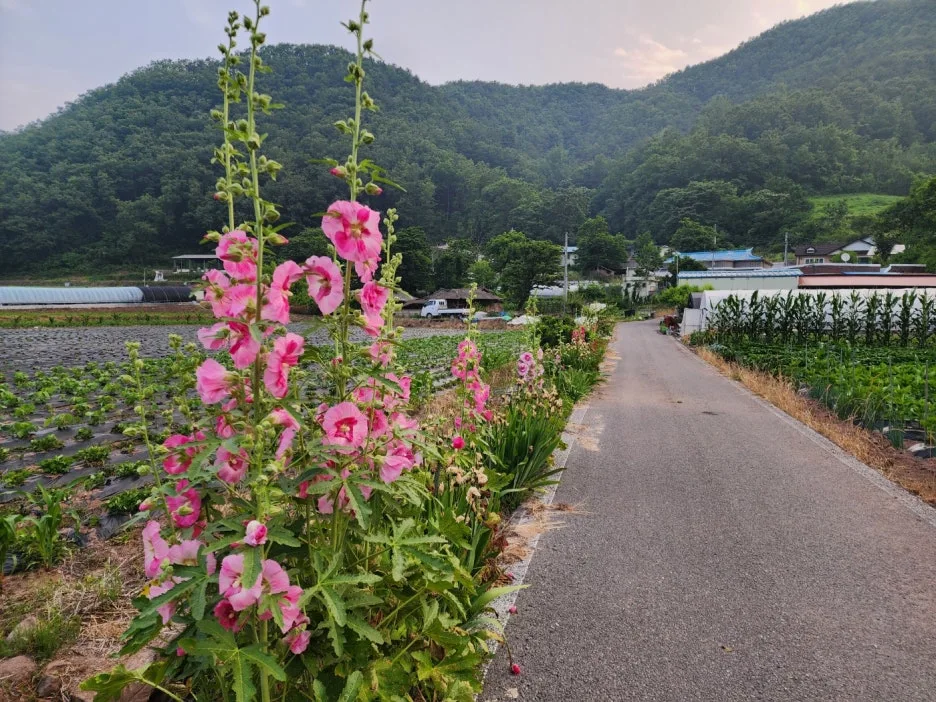 KakaoTalk_20240829_172128613_01.jpg?type=w1