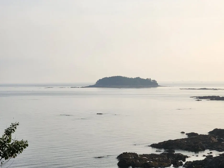 KakaoTalk_20240605_161917270_13.jpg?type=w1