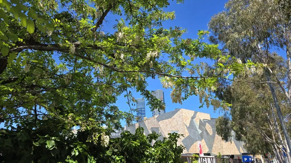 KakaoTalk_20251029_145442828_27.jpg?type=w1