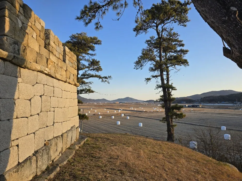 KakaoTalk_20241205_053804802_07.jpg?type=w1