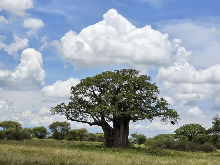 KakaoTalk_20250405_112215504_28.jpg?type=w1