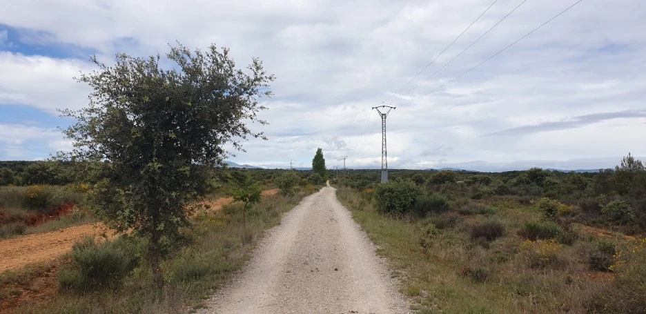 KakaoTalk_20220608_004544557_02.jpg?type=w1