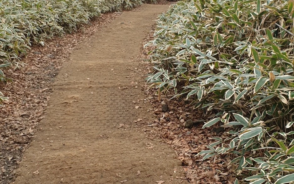 SE-7a103ae2-e009-43d9-8266-bb338af0606e.jpg?type=w1