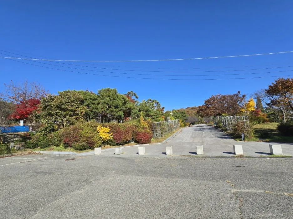 KakaoTalk_20241120_014534355.jpg?type=w1