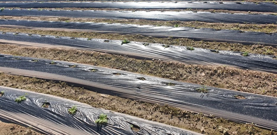 KakaoTalk_20220821_153644466_02.jpg?type=w1