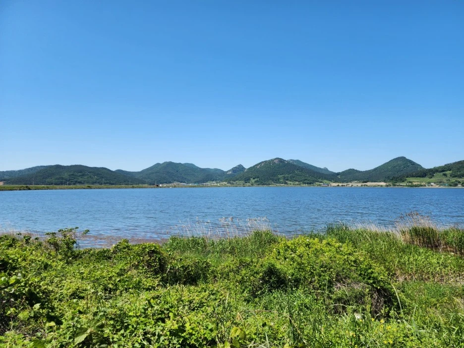 KakaoTalk_20240515_172020759_12.jpg?type=w1