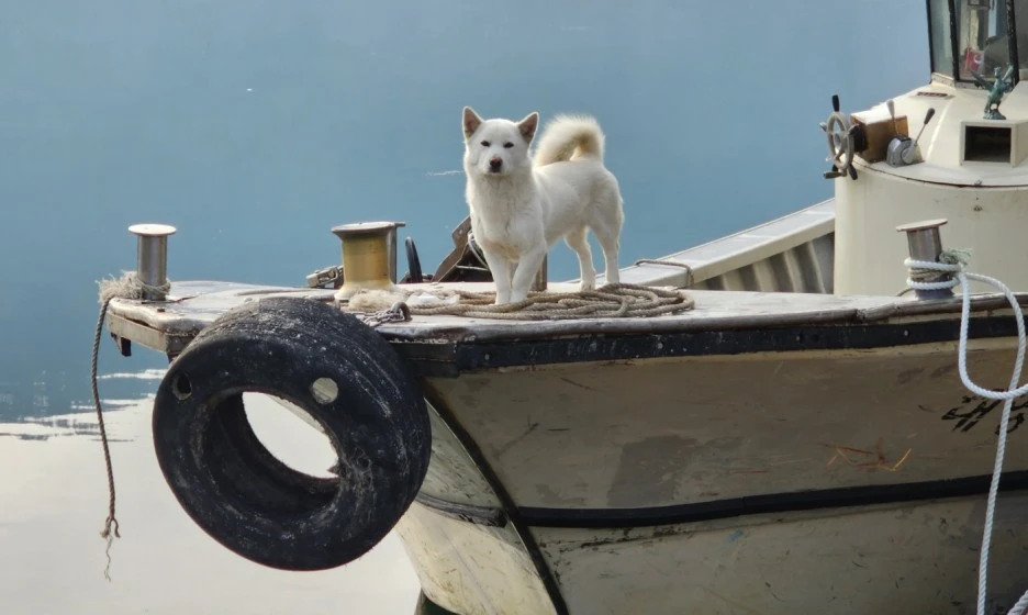 SE-9af1e8fa-2c67-4980-b076-04357ebbd7ac.jpg?type=w1