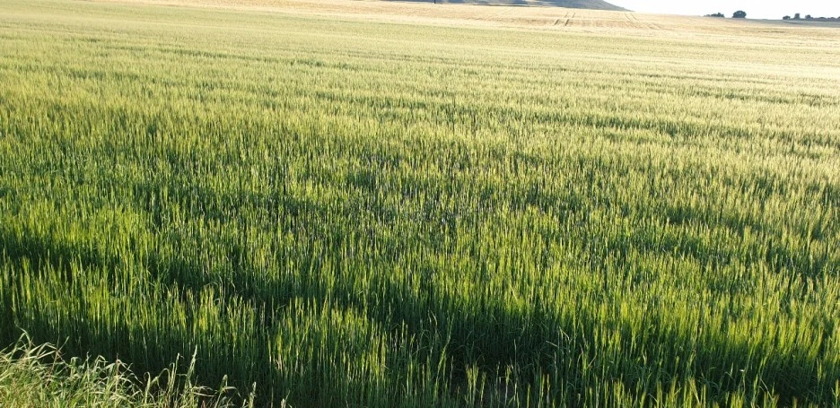 KakaoTalk_20220601_003906683.jpg?type=w1