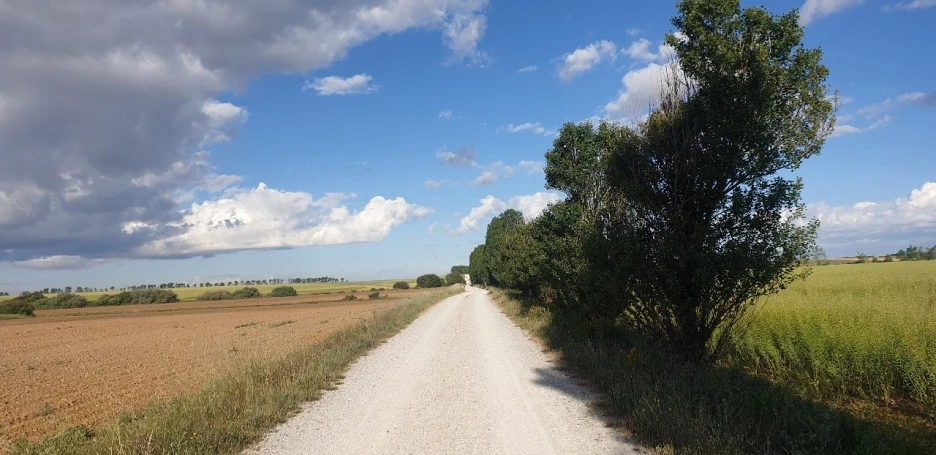 KakaoTalk_20220603_002339802_08.jpg?type=w1