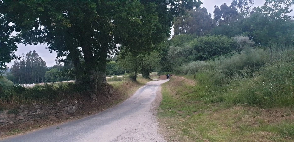 KakaoTalk_20220614_012409016.jpg?type=w1