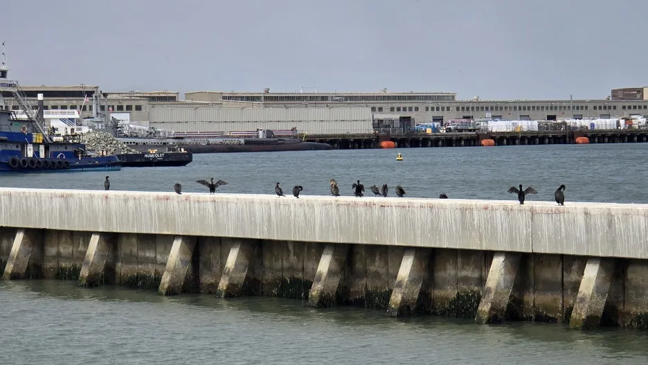 KakaoTalk_20250818_202419132_29.jpg?type=w1