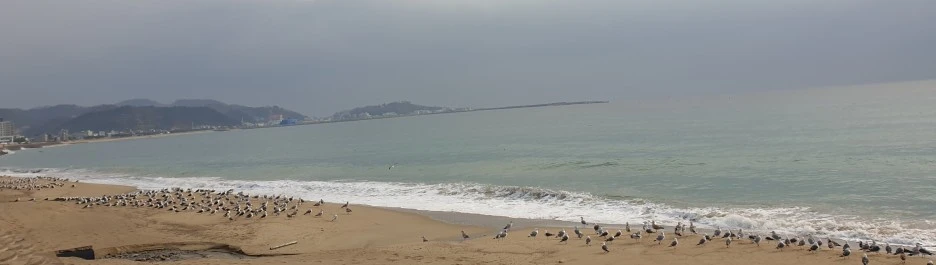 SE-ad89fa9f-3892-4998-bf7e-080d3ea5ad09.jpg?type=w1