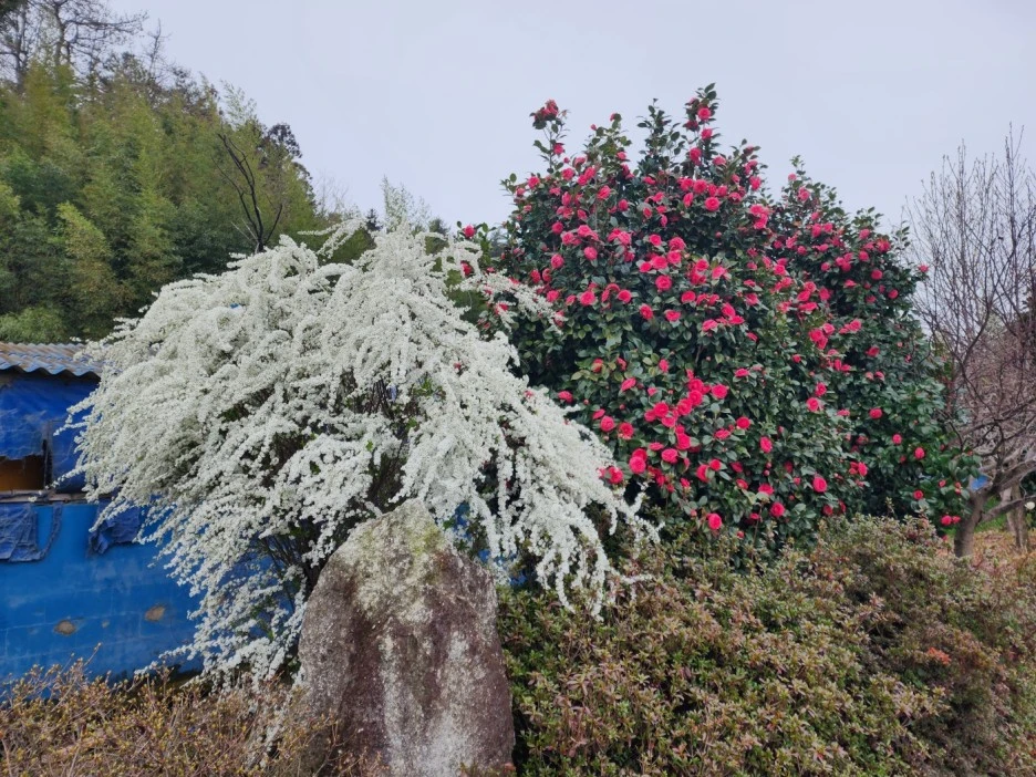 KakaoTalk_20230327_050432802_06.jpg?type=w1