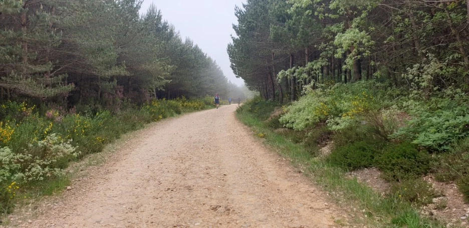 KakaoTalk_20220528_212419019_02.jpg?type=w1