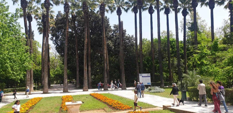 20220501_135312.jpg?type=w1