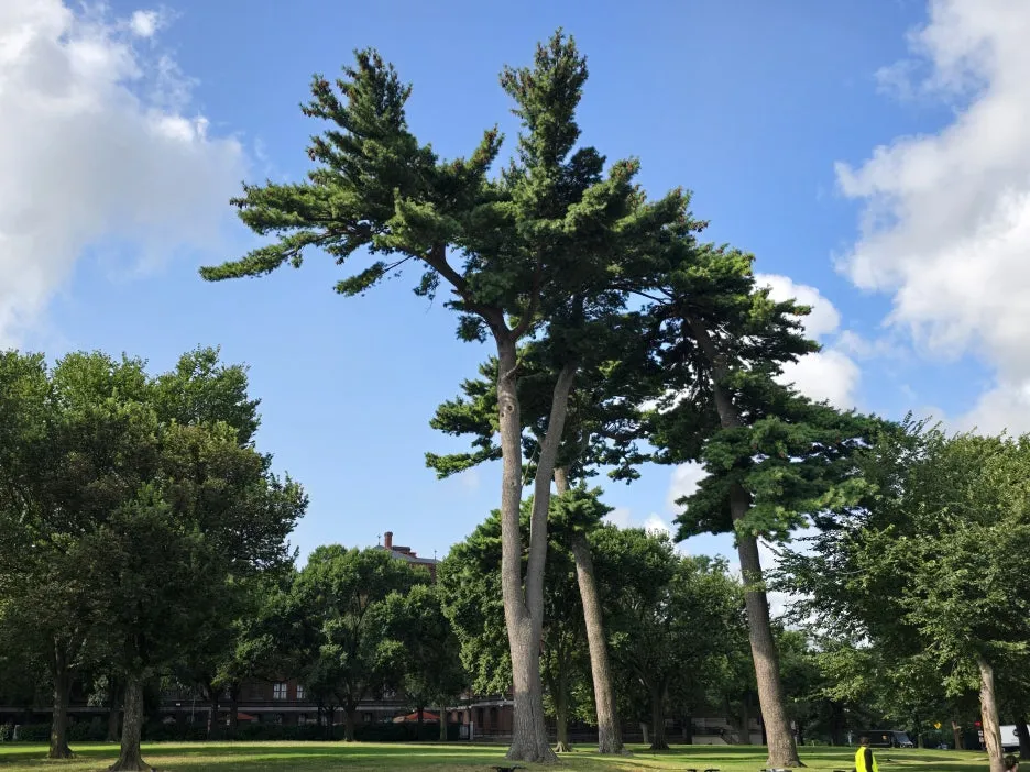 KakaoTalk_20250809_054956363_26.jpg?type=w1