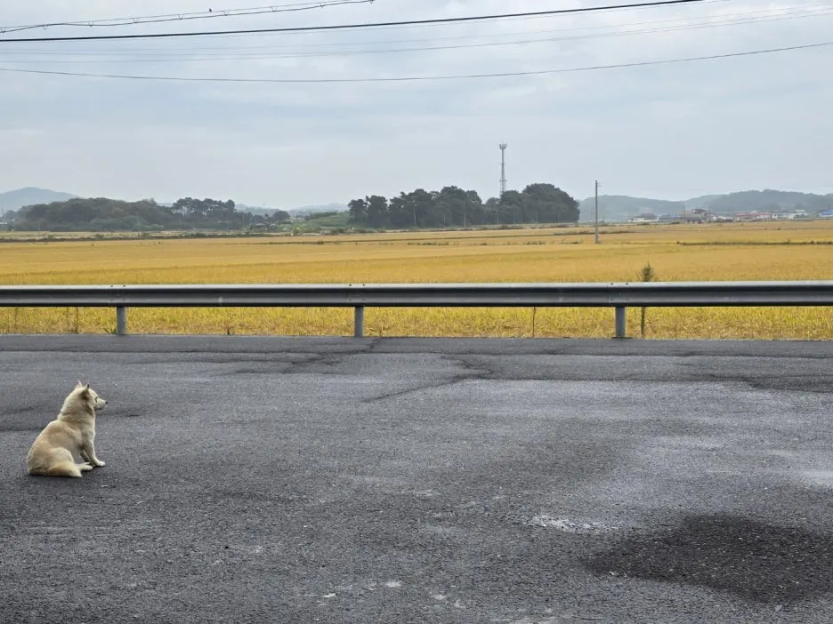 KakaoTalk_20241023_173909117_16.jpg?type=w1