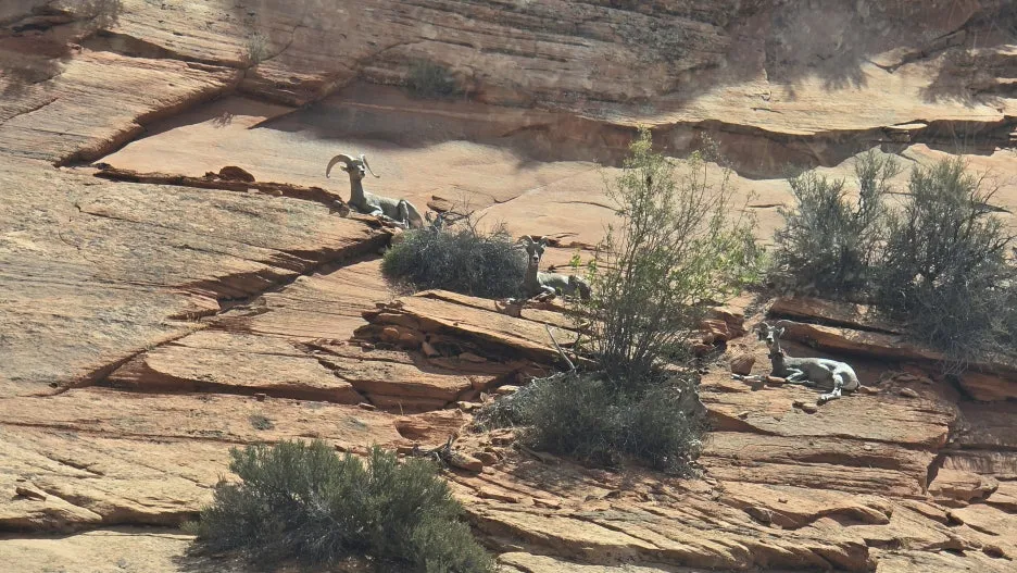 KakaoTalk_20250818_082640350_01.jpg?type=w1