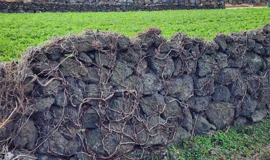 SE-359eecf4-53c4-44d8-8980-f59e1693d127.jpg?type=w1