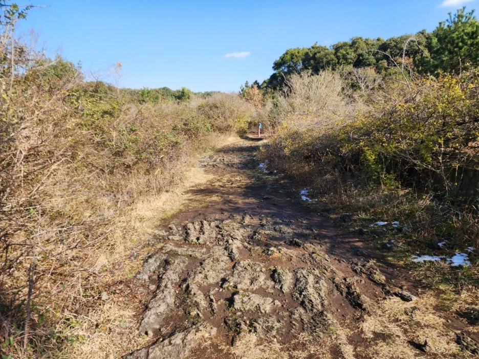 KakaoTalk_20221227_062908705.jpg?type=w1