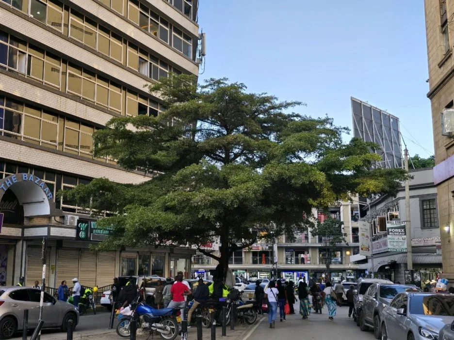 KakaoTalk_20250328_023001721_18.jpg?type=w1