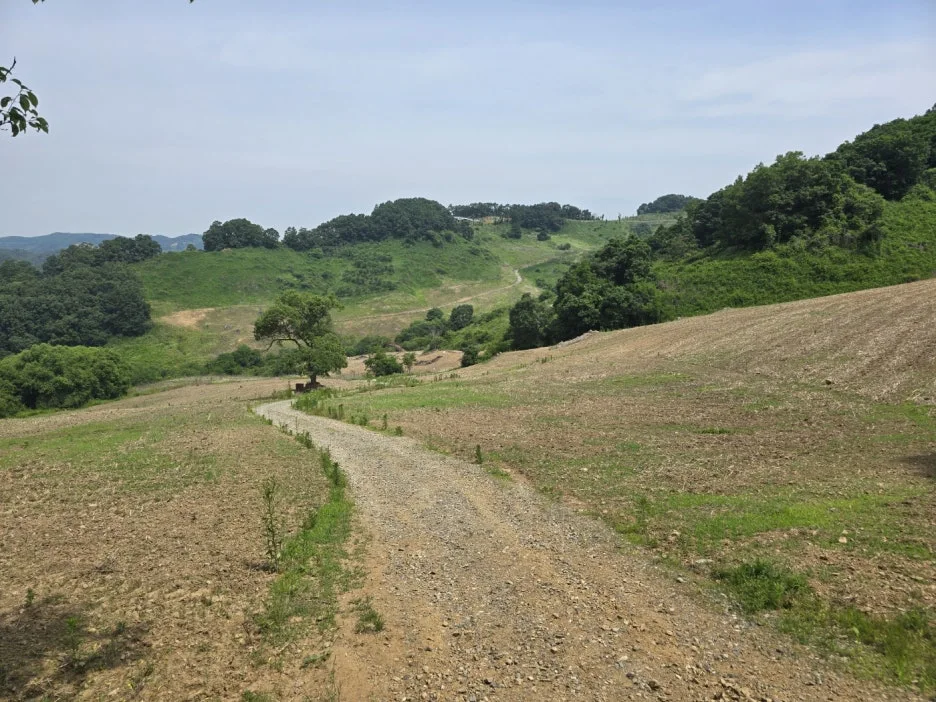 KakaoTalk_20250613_195634658_17.jpg?type=w1