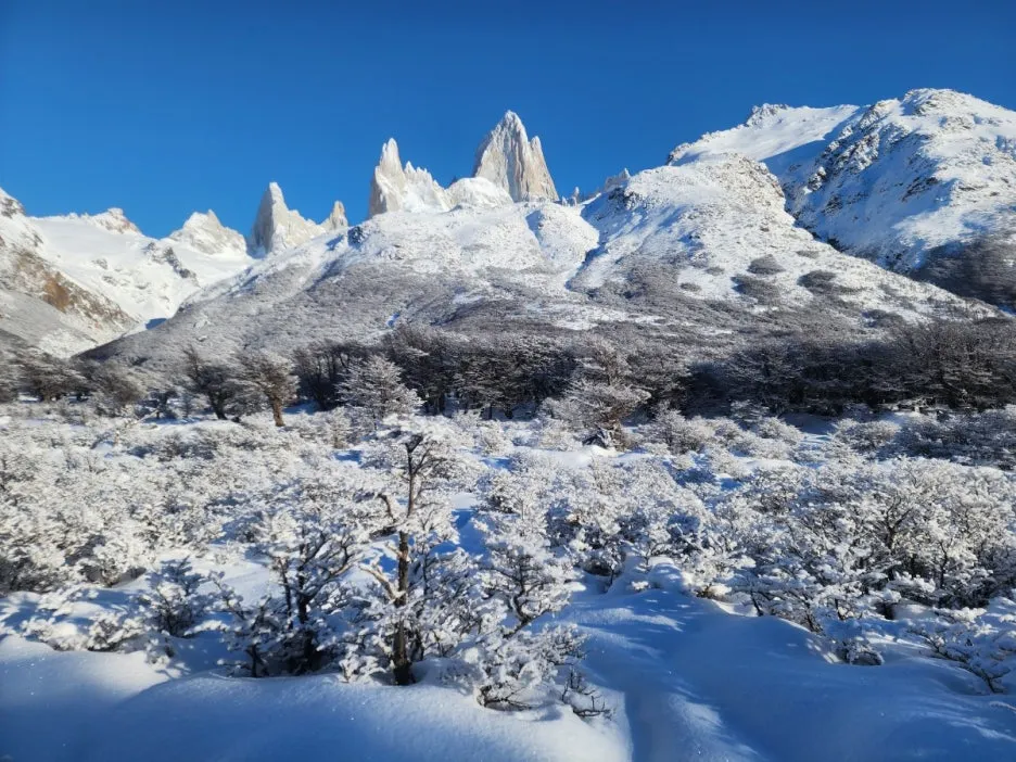 KakaoTalk_20240809_044830248_20.jpg?type=w1