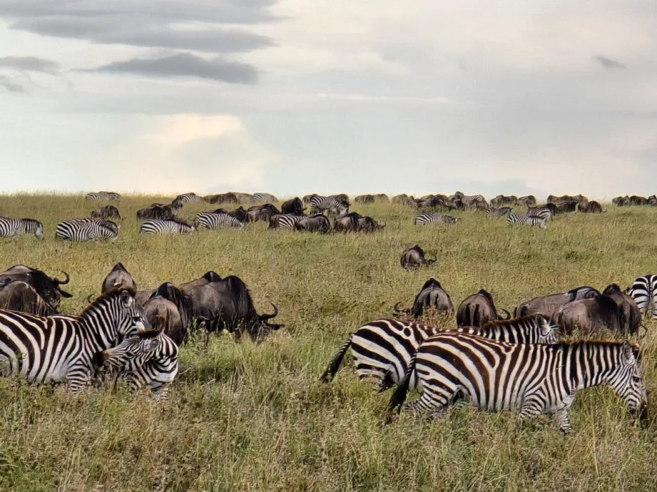 KakaoTalk_20250405_134443007_26.jpg?type=w1