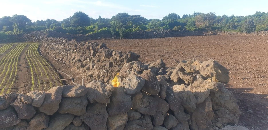 KakaoTalk_20220827_045330099_02.jpg?type=w1